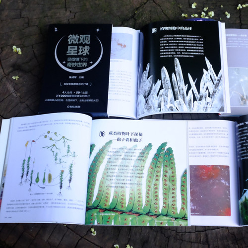 【当当网】微观星球(显微镜下的奇妙世界共4册) 吴成军 植物动物 生物 化学物理 科学普及 艺术审美 近千实拍图片正版 - 图2