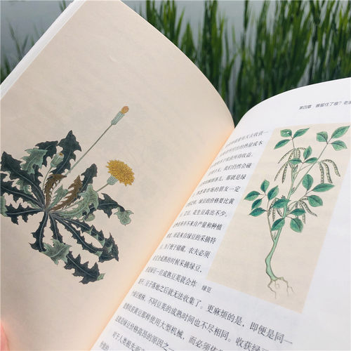 当当网 植物塑造的人类史 史军 现代出版社 正版书籍 - 图2