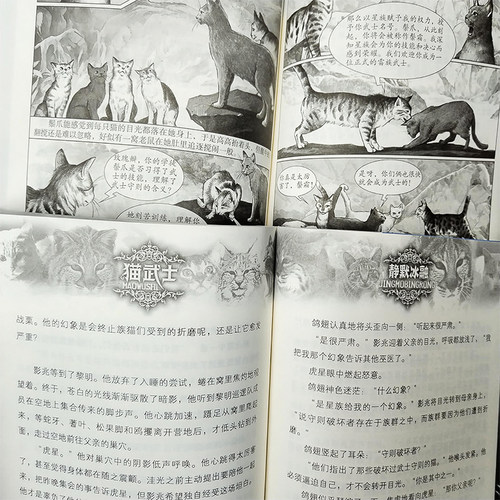当当网正版童书 猫武士全套正版曲6册第七部曲小学生二三年级阅读课外书四五六年级儿童文学猫武士系列原版成长动物小说故事书 - 图2