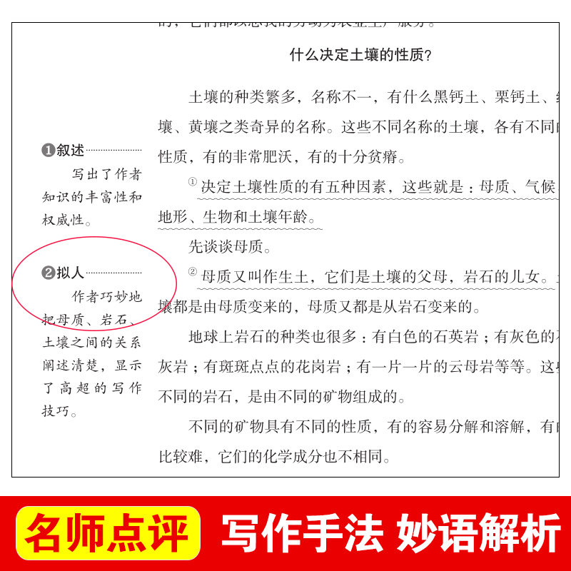 当当网 快乐读书吧全套三四五六年级鲁滨逊漂流记十万个为什么安徒生童话一千零一夜山海经西游记小学生版必读课外书正版书籍儿童 - 图2