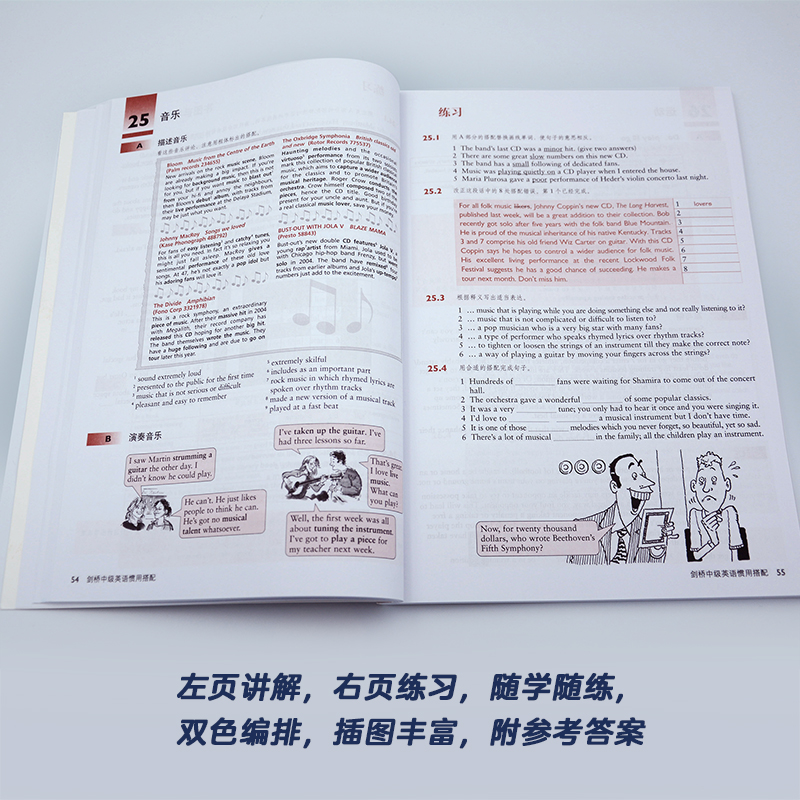 外研社 剑桥中级英语惯用搭配 剑桥英语English in Use丛书中文版 - 图1