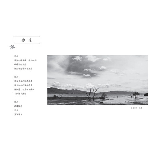 当当网 汪国真诗精选 汪国真 南海出版公司 正版书籍 - 图0