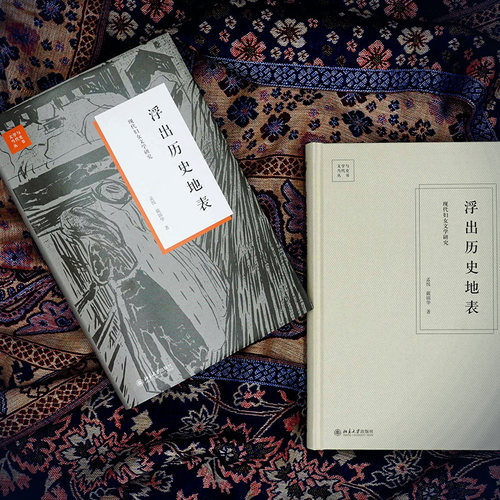 【当当网】浮出历史地表 现代妇女文学研究 戴锦华 文学与当代史丛书女性批评理论 运用女性主义研究 北京大学出版社 正版书籍 - 图0