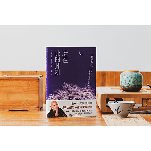当当网 活在此时此刻 一行禅师修行手记 一本教你活出生命意义的灵性之书 讲述一行禅师真实的生活经历心灵励志 正版书籍 - 图0