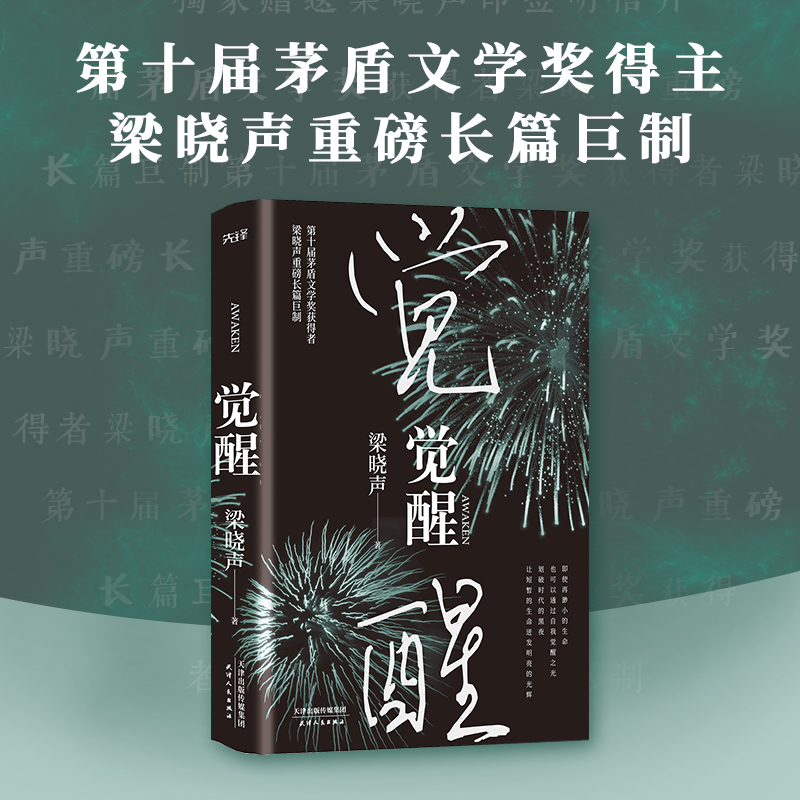 当当网 觉醒（第十届茅盾文学奖、热映电视剧《人世间》原著作者梁晓声作品）精装版 - 图0