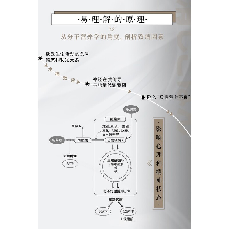 当当网 你的抑郁 90%可以靠食物改善 食疗心理健康营养菜谱 改善质性营养失调 抑郁症饮食书籍消除抑郁症情绪障碍症 缓解治疗指南 - 图1