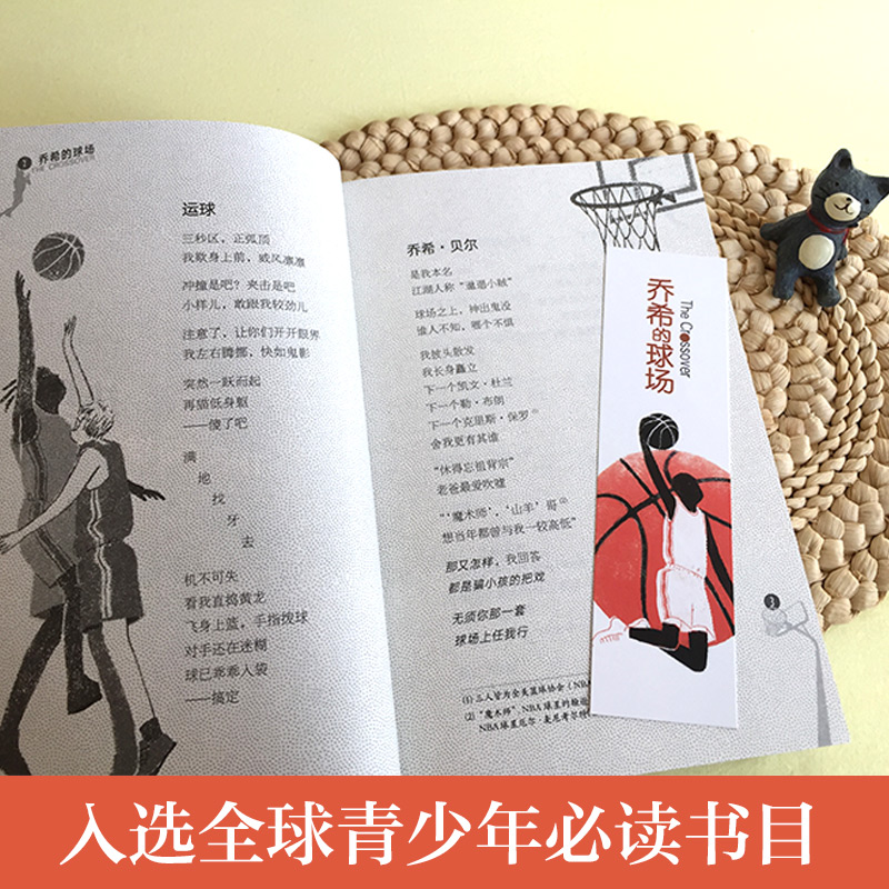 新版·长青藤国际大奖小说书系·第6辑：乔希的球场 - 图1