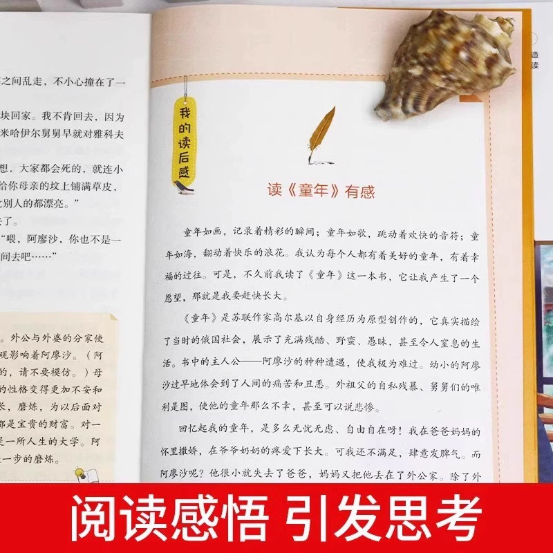 鲁滨逊漂流记六年级下册必读课外书完整版快乐读书吧六上童年爱的教育小英雄雨来汤姆索亚历险记尼尔斯骑鹅旅行记爱丽丝漫游奇境