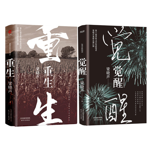 当当网 梁晓声2020长篇小说（重生+觉醒）第十届茅盾文学奖、热映电视剧《人世间》原著作者 - 图0