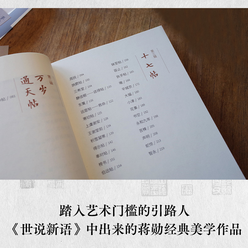 南朝岁月（当当专享字帖，踏入艺术门槛的引路人，“从《世说新语》中出来的蒋勋”经典美学作品） - 图1