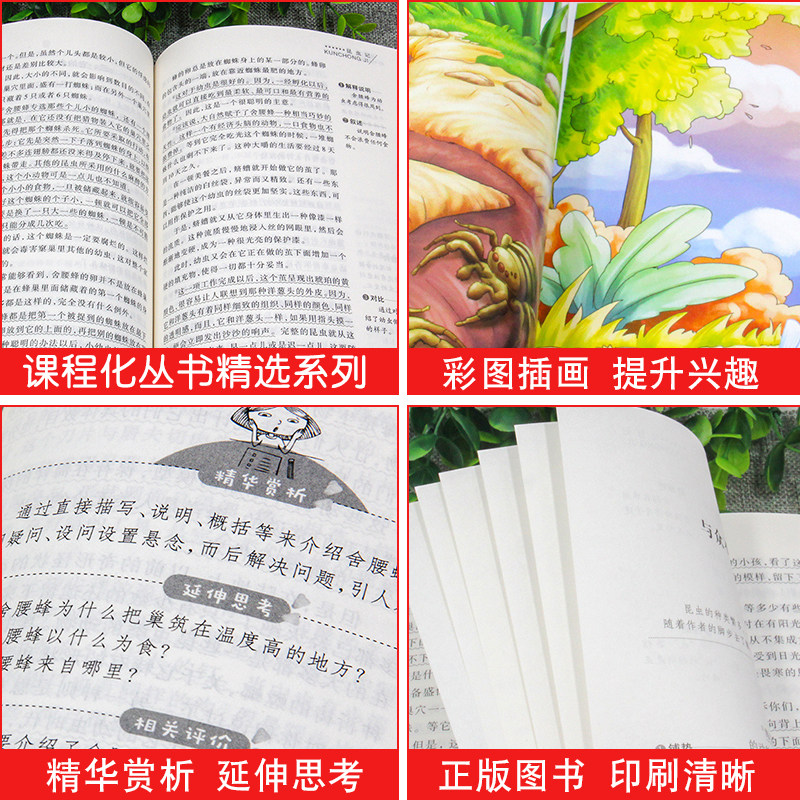 图 3