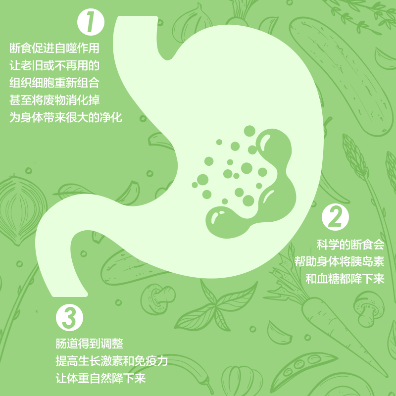 【当当网 正版书籍】疗愈的饮食与断食：新时代的个人营养学 真原医姊妹篇个人营养学 简体中文版精装+彩印 远离慢性病困扰 - 图2