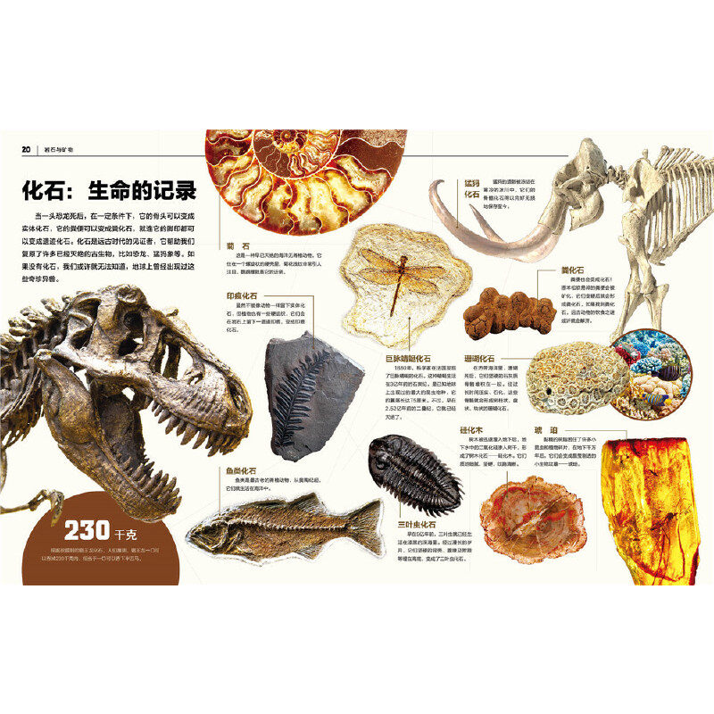 【当当网正版书籍】中国少儿百科知识全书第1辑 岩石与矿物 小学生课外阅读书 儿童科学科普大百科全书 科普读物畅销书 宇宙百科书,淘宝优惠券,粉丝福利购,淘宝优惠卷