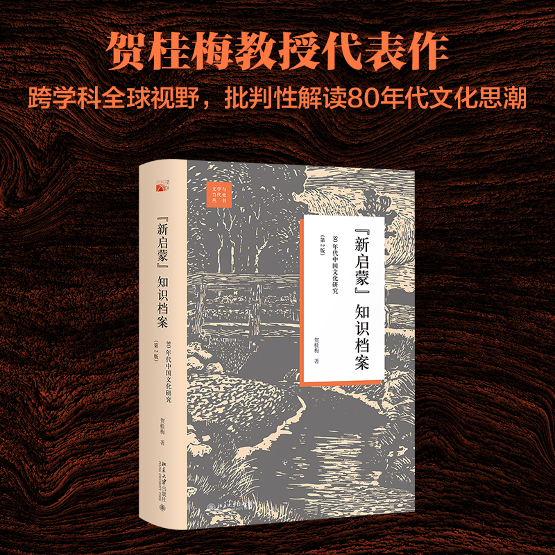 【当当网直营】“新启蒙”知识档案：80年代中国文化研究（第2版）贺桂梅著 文学与当代史丛书 北京大学出版社 正版书籍 - 图0