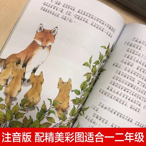 当当网正版童书 西顿动物记注音版全10册赠送朗读光盘 儿童文学一年级二年级小学课外阅读书籍3-6-9岁必 - 图1