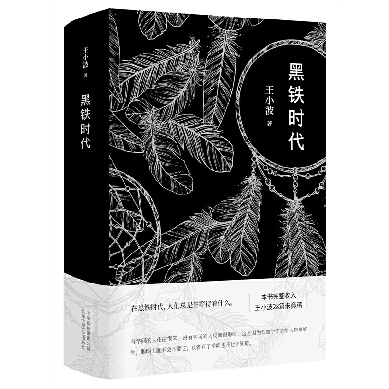 当当网王小波时代三部曲黄金时代+白银时代+黑铁时代王小波作品集全集王小波的书现当代文学散文随笔集沉默的大多数作者正版书-图3