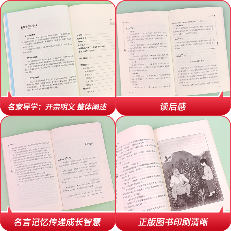 当当网官方旗舰店 城南旧事原著正版六年级三四五年级必读林海音 小学生课外书籍 无障碍阅读彩插励志版经典名著儿童文学时代文艺 - 图3