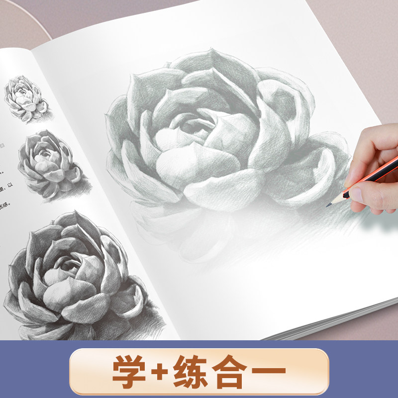 墨点美术 素描入门临摹本 零基础入门初学者临摹教材书视频教学静物花卉人物动物铅笔绘画画册美术技法小白自学绘画教程书描摹本,淘宝优惠券,粉丝福利购,淘宝优惠卷