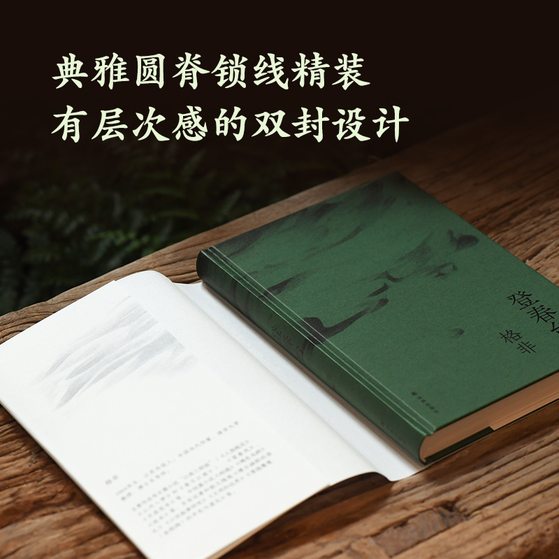 当当网 登春台 茅盾文学奖得主格非作品 江南三部曲作者 莫言余华盛赞 豆瓣高分长篇现代文学小说正版北京春台路小人物的命运流转 - 图2