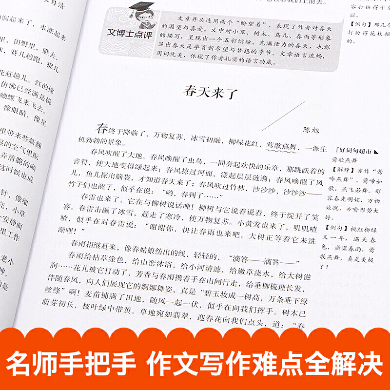 全两册 小学生好词好句好段 小学生好开头好结尾 作文其实并不难2020版作文辅导大全 - 图1