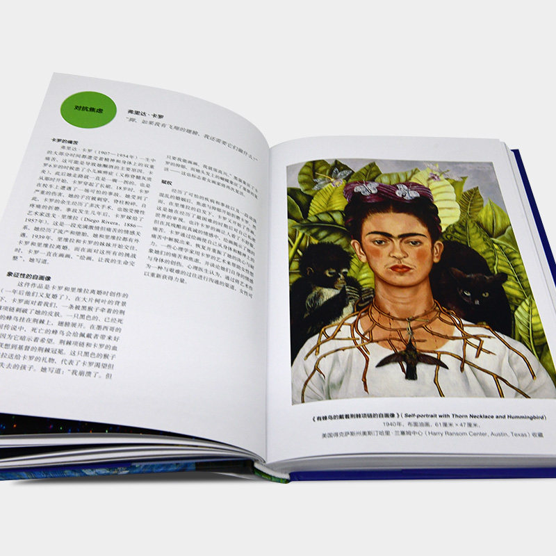 【当当网正版书】艺术改变你的生活 艺术的慰藉姊妹篇 英国皇家艺术研究院士执笔72幅作品阐述艺术实用价值心灵疗愈艺术正版书籍,淘宝优惠券,粉丝福利购,淘宝优惠卷