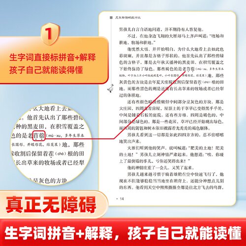 当当网正版书籍 鲁滨逊漂流记汤姆索亚历险记尼尔斯骑鹅旅行记爱丽丝漫游仙境快乐读书吧六年级下册套装共4册小学课外阅读推荐 - 图2