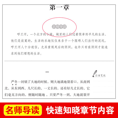 当当网 呼兰河传萧红著正版原著完整版原版 五年级下册课外书必 读正版经典书目青少年版 小学四六年级上下册课外阅读书籍呼兰河转 - 图0