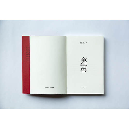 童年兽 - 图2
