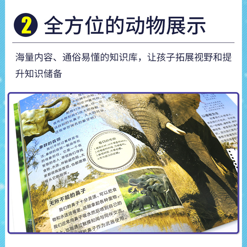 动物王国大探秘 共8册 6-10岁经典故事 小学一二三年级中国少儿百科全书课外科普百科阅读书籍 - 图1