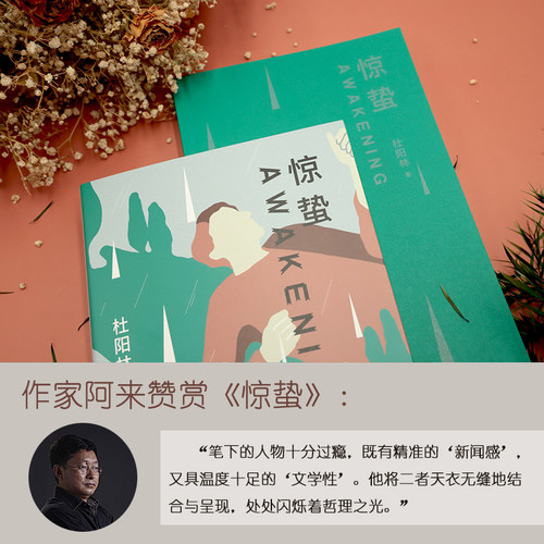 当当网 惊蛰 杜阳林 比活着平凡的世界更真实励志 李敬泽阿来孟繁华徐泽臣联袂推荐 平凡少年的不平凡之路用奋斗改变人生 正版书籍 - 图2