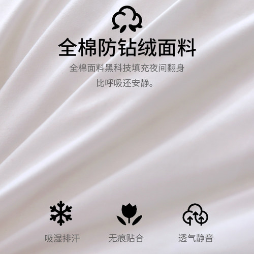 翼然100%鹅毛羽绒抱枕芯内胆鹅毛沙发靠垫芯腰靠枕芯枕芯30x50cm - 图0