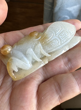 新疆且末料和田玉糖白玉知了挂件把件一鸣惊人事业有成男女饰品