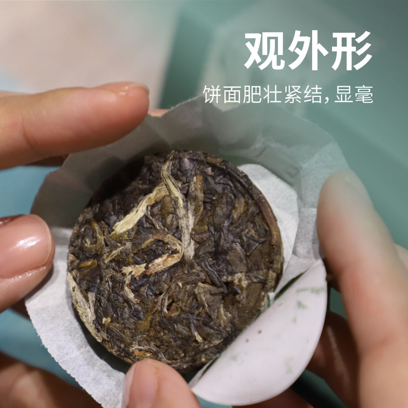 福海茶厂小福饼曼夕山生茶小圆片茶普洱茶迷你免撬普洱茶 - 图0