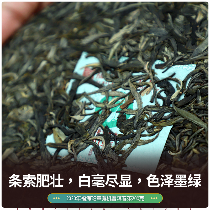 福海茶厂2020年班章有机茶200g礼盒装云南勐海大白菜普洱茶生茶 - 图2