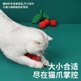 Zeze Новогодние зимние зимние зеленые фрукты Pattap Toy Toy Kitty Cat Self -relief и дразнить кошачь