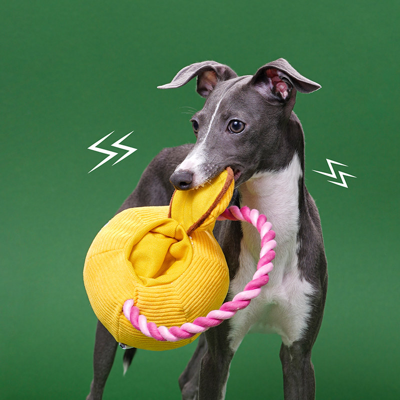 zeze茶壶狗狗解闷玩具咬绳耐咬自嗨绳结玩具解闷宠物玩具幼猫猫,淘宝优惠券,粉丝福利购,淘宝优惠卷