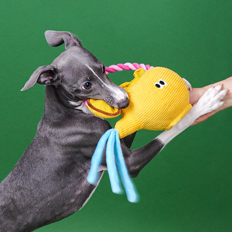 zeze茶壶狗狗解闷玩具咬绳耐咬自嗨绳结玩具解闷宠物玩具幼猫猫,淘宝优惠券,粉丝福利购,淘宝优惠卷