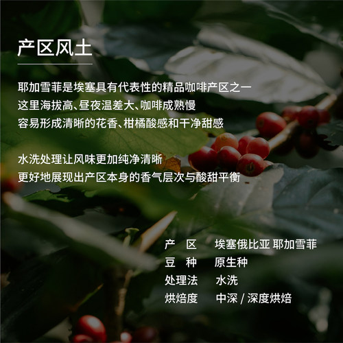 八平方咖啡埃塞水洗耶加雪菲soe单品意式浓缩手冲咖啡豆可磨粉 - 图0