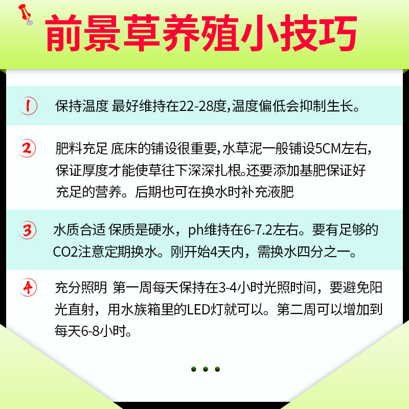 前景水草鱼缸造景活体懒人淡水植物阴性天湖爬地大矮珍珠迷你牛毛 青色水景空间 淘优券