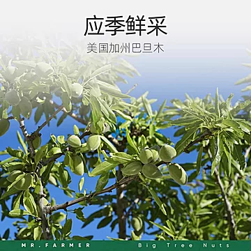 新农哥大颗粒笑口巴旦木450g罐装手剥坚果[5元优惠券]-寻折猪