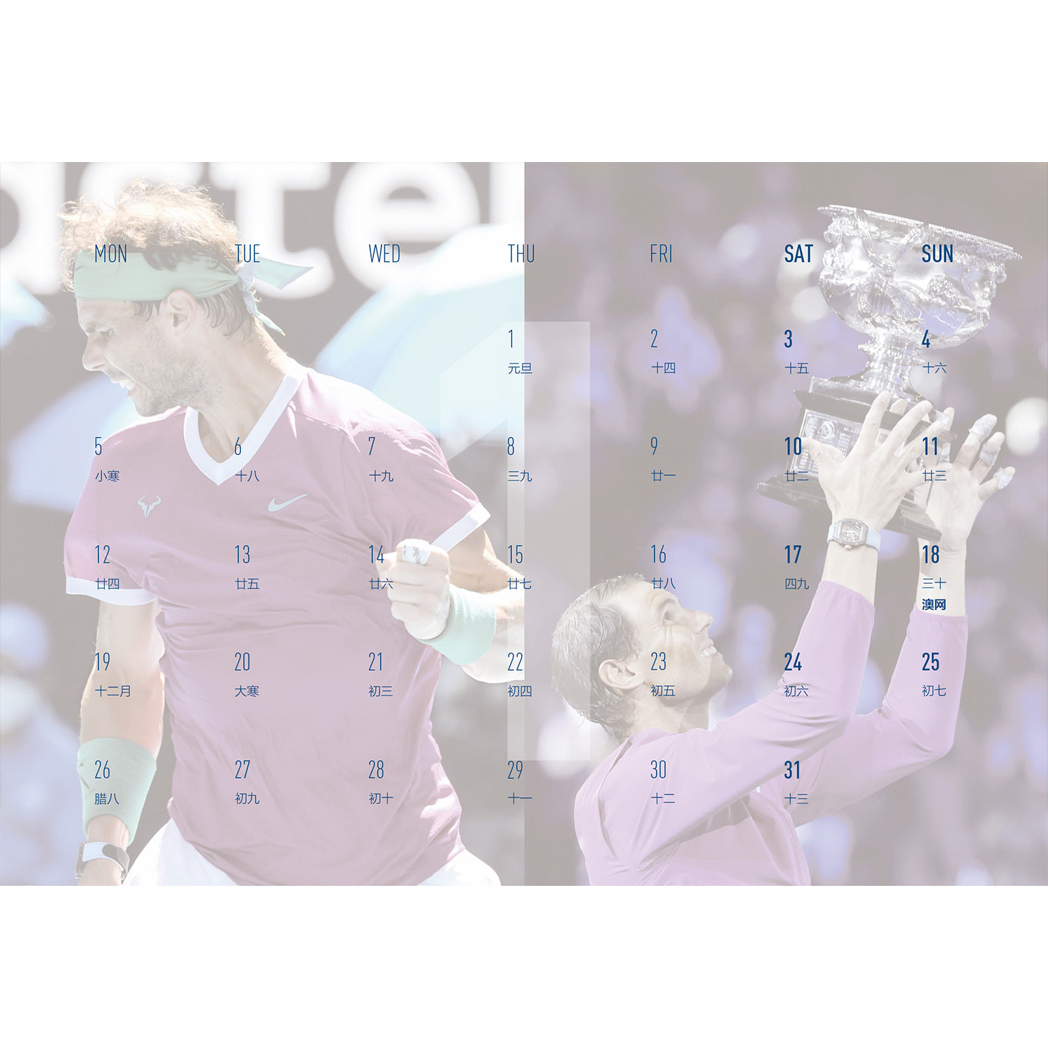 纳达尔 2026年台历日历 蛋宝宝台历 创意生日礼物收藏 非出版,淘宝优惠券,粉丝福利购,淘宝优惠卷