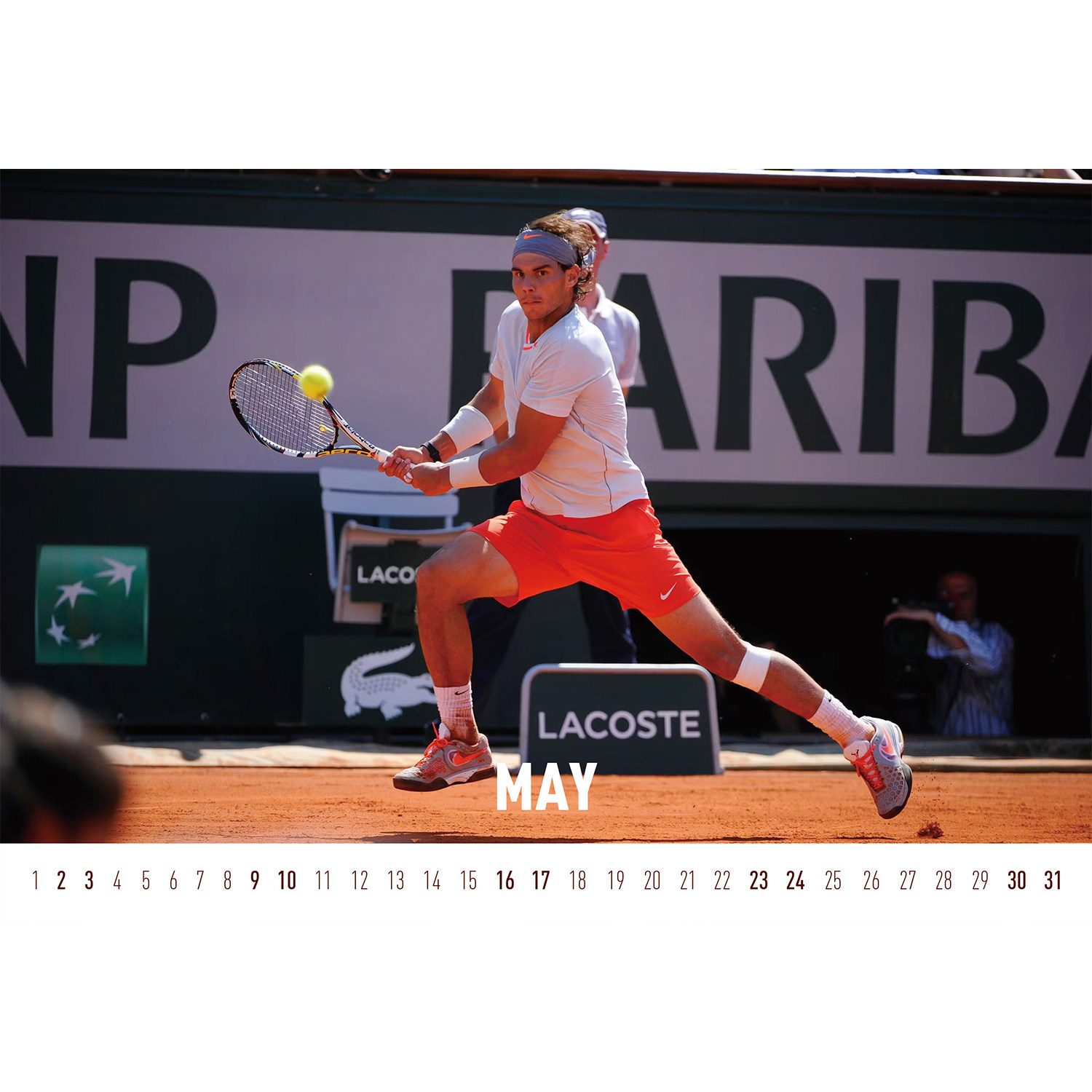 纳达尔 2026年台历日历 蛋宝宝台历 创意生日礼物收藏 非出版,淘宝优惠券,粉丝福利购,淘宝优惠卷