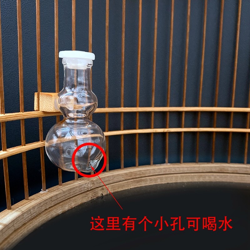 玻璃绣眼鸟内外挂饮水器 葫芦形状 直筒形状饮水器 绣眼鸟笼用具,淘宝优惠券,粉丝福利购,淘宝优惠卷