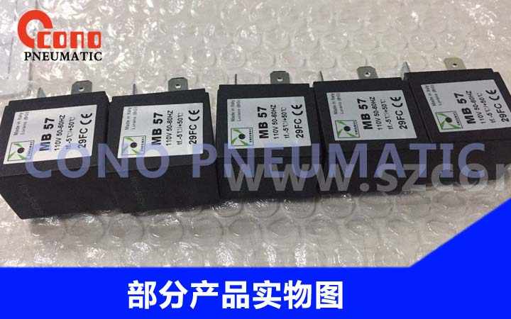 pneumax-新人首单立减十元-2022年6月|淘宝海外