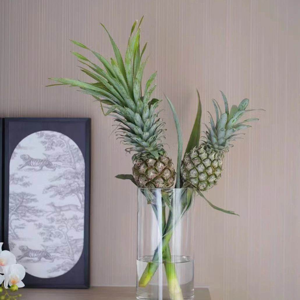 香水小菠萝黑凤梨观赏鲜切花新鲜水养可食用水培装饰鲜花空气清新,淘宝优惠券,粉丝福利购,淘宝优惠卷