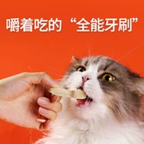 Хвостовая жизнь замороженная сухой зубной щетка, дезодорантовые камни, пероральный кошачьи стержень с пероральной закусочной кошки