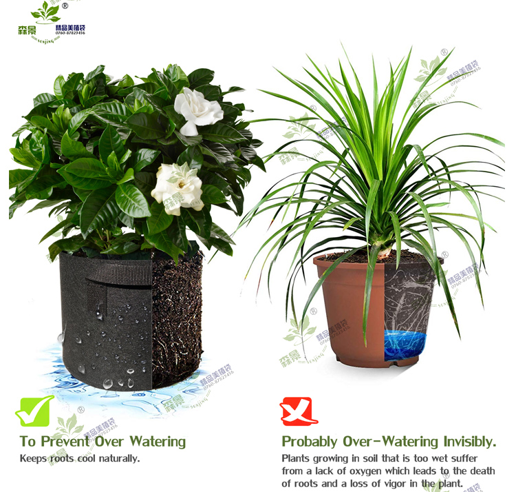 黑色出口美植袋 控根植树袋种植袋 无纺布袋种花种菜育苗箱营养袋 - 图0