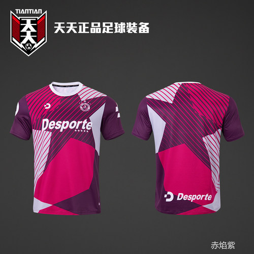 天天正品Desporte体士彪训练短袖男子足球运动跑步T恤 DC826822 - 图2