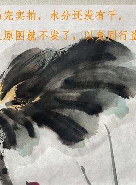 本人手绘国画荷花代画作品