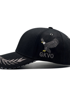 秋冬季新款高端宽檐大头围棒球帽